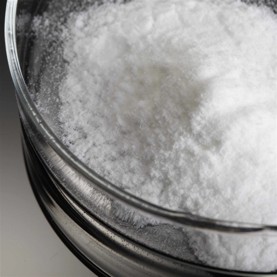 Top 5 NVP Copolymer Manufacturers In 2025